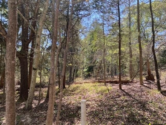 2.2 acres in VAN ZANDT County - photo 2