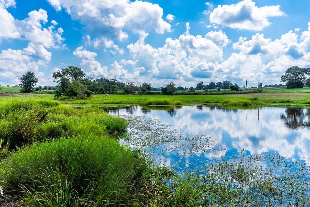 35.54 acres in Anderson County - photo 11