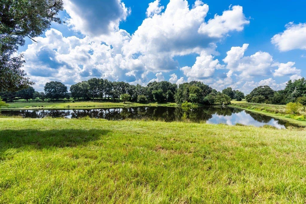 35.54 acres in Anderson County - photo 12