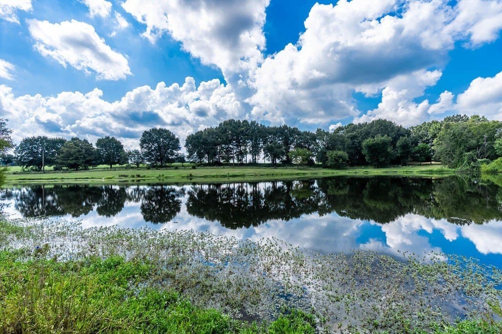 35.54 acres in Anderson County - photo 10