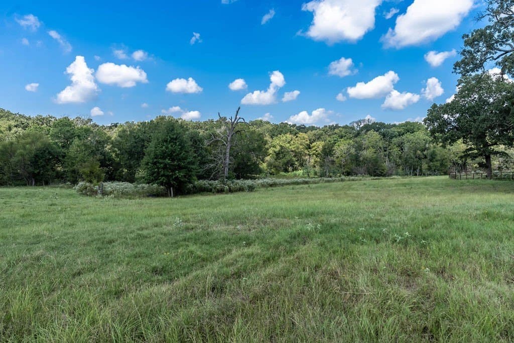 35.54 acres in Anderson County - photo 6