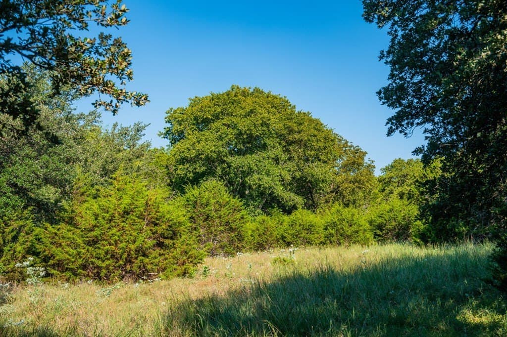 91.28 acres in Kerr County - photo 74