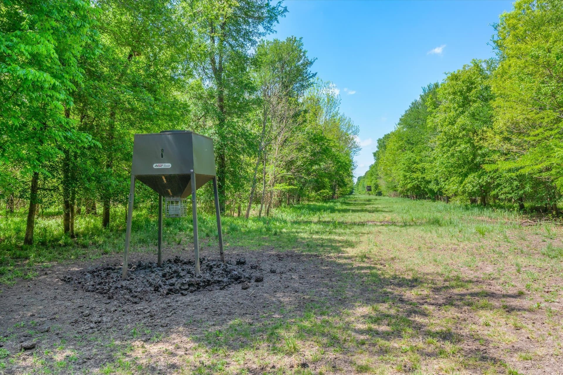 408.29 acres in Van Zandt County - photo 38