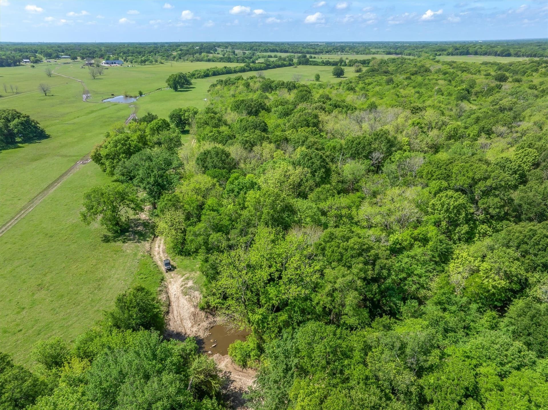 408.29 acres in Van Zandt County - photo 40