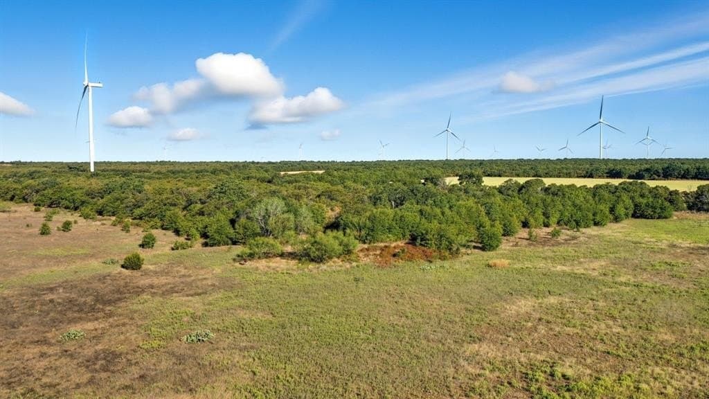 50.05 acres in Eastland County gallery image 4