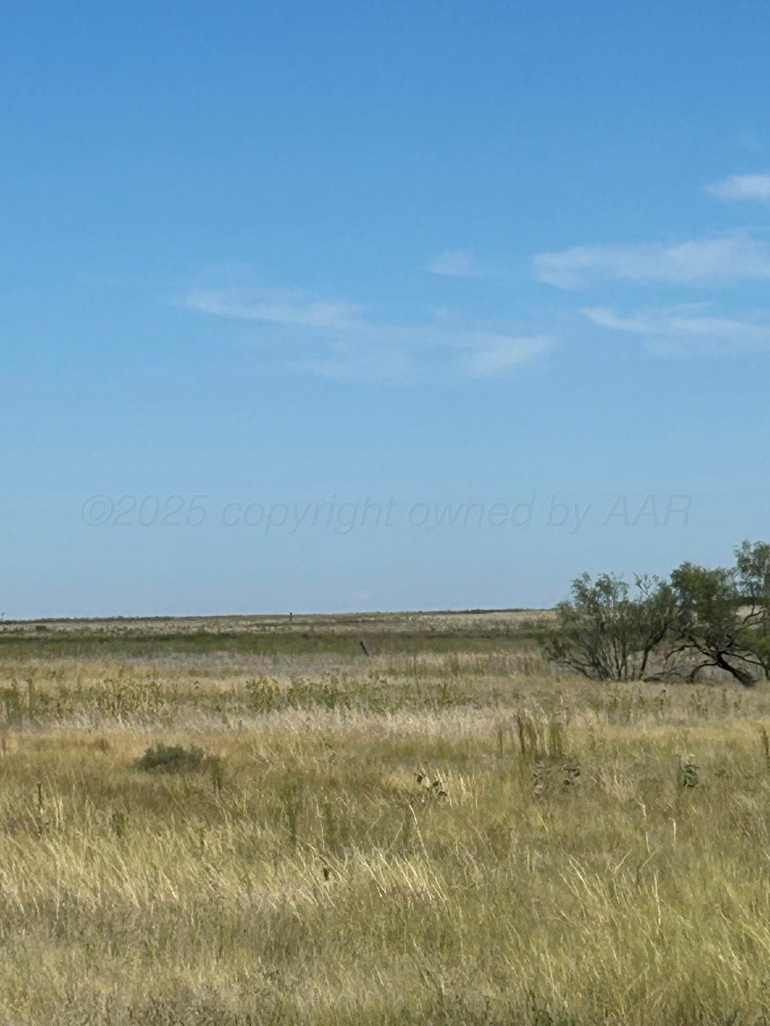 10 acres in Randall County gallery image 2