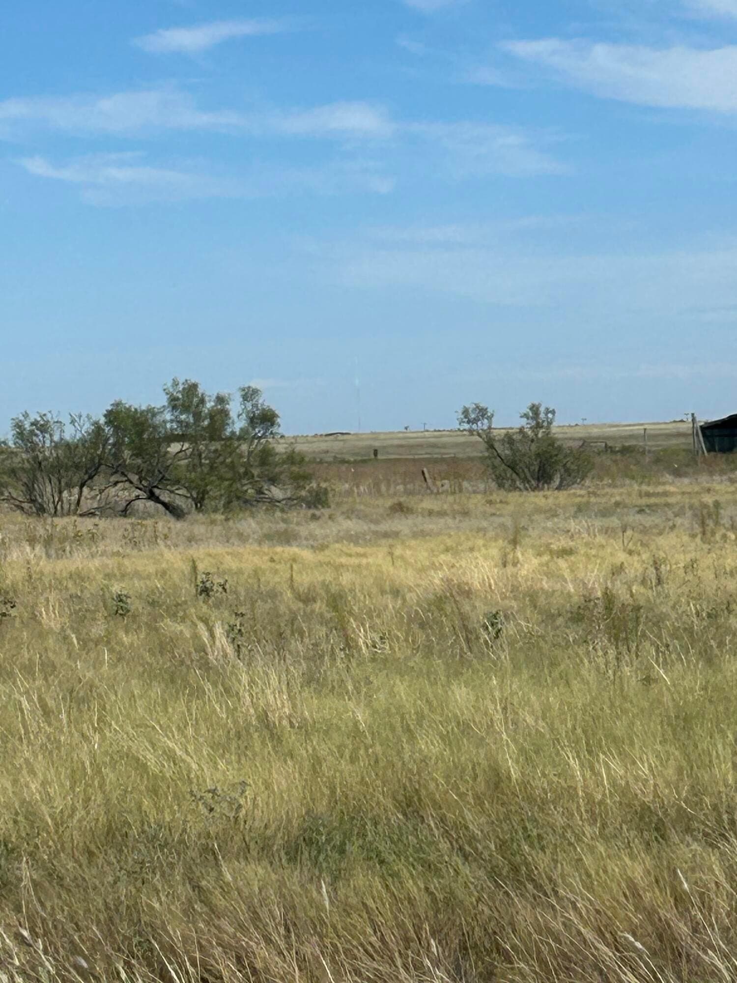 10 acres in Randall County gallery image 3