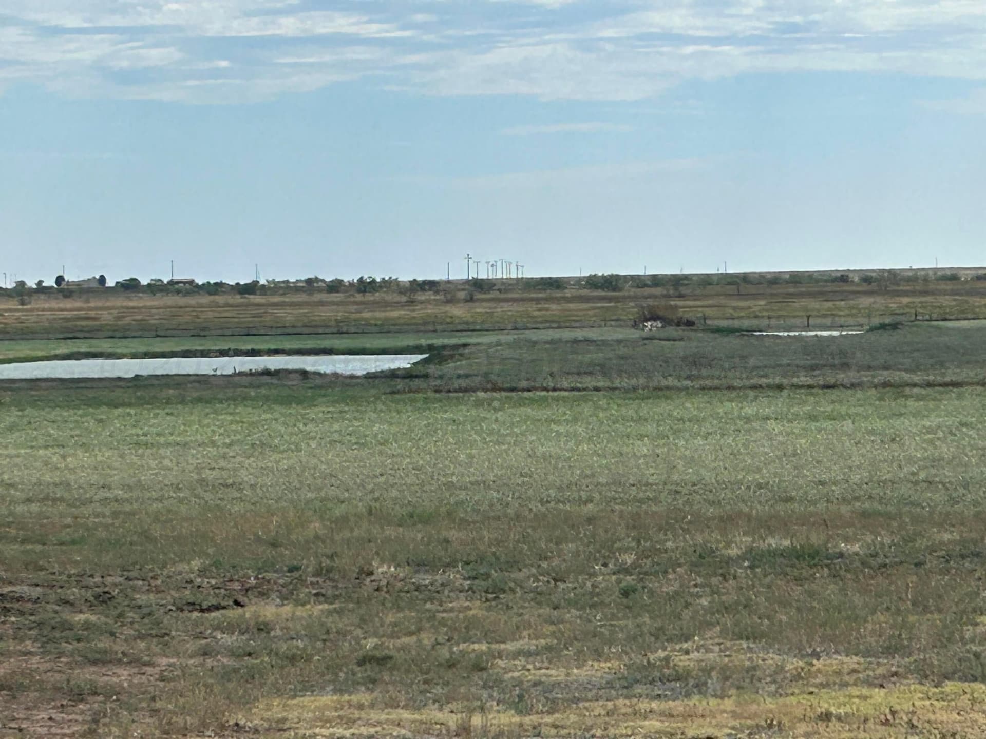 10 acres in Randall County featured view