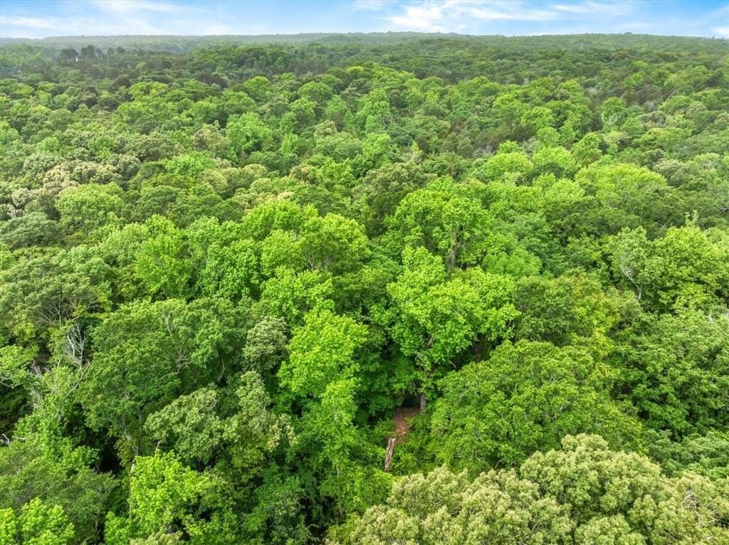 22.32 acres in Van Zandt County gallery image 4