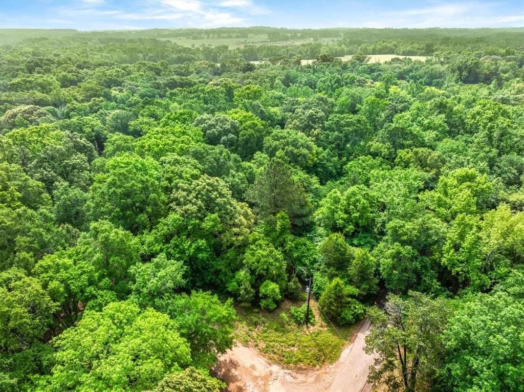 22.32 acres in Van Zandt County gallery image 3