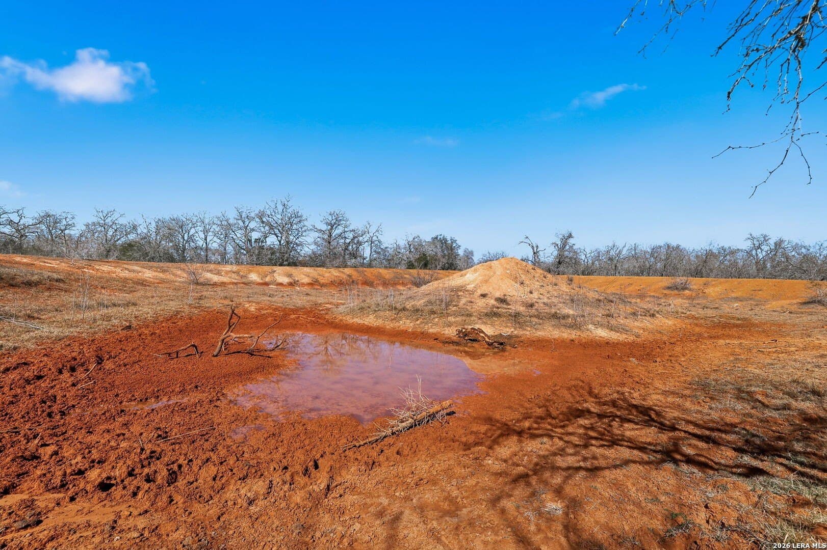 47.74 acres in Wilson County - photo 19