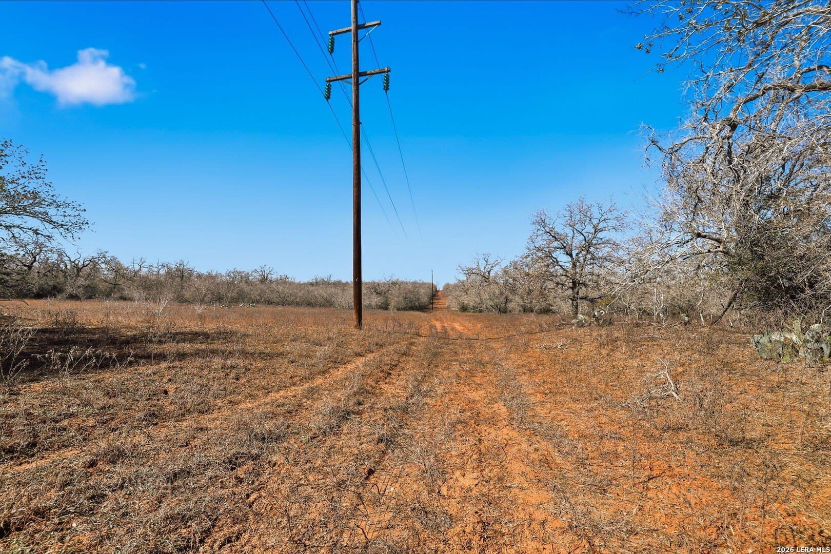 47.74 acres in Wilson County - photo 30