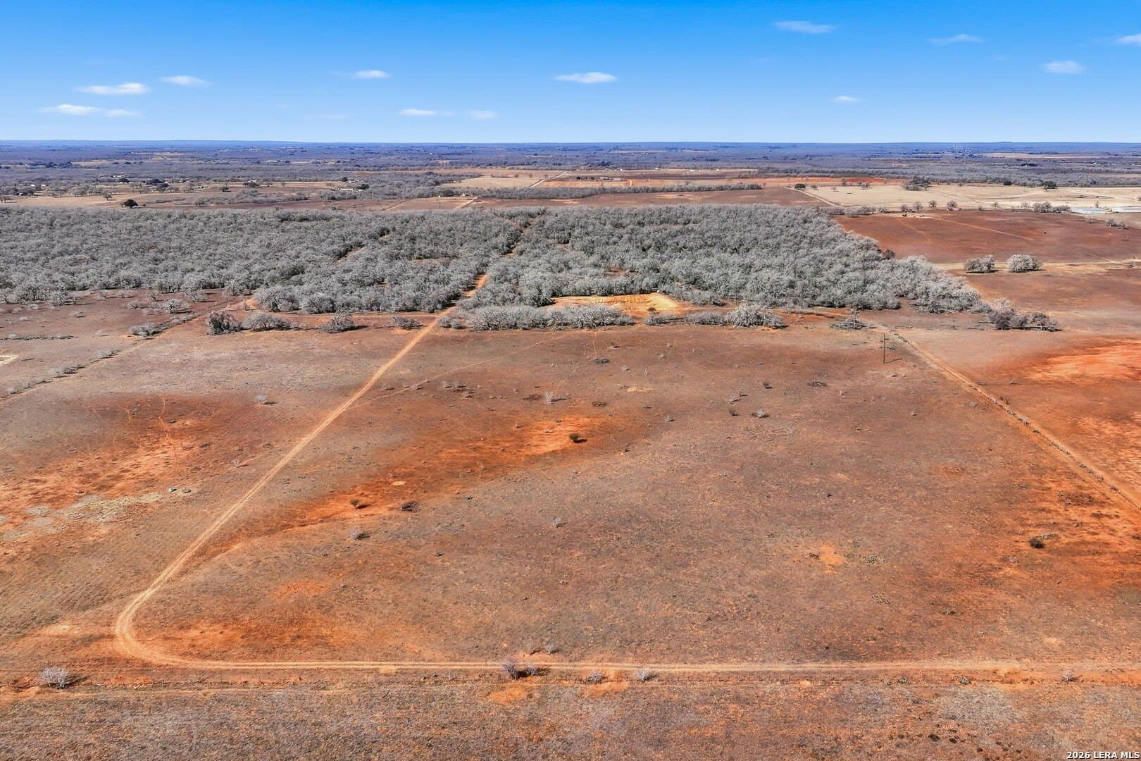47.74 acres in Wilson County gallery image 4
