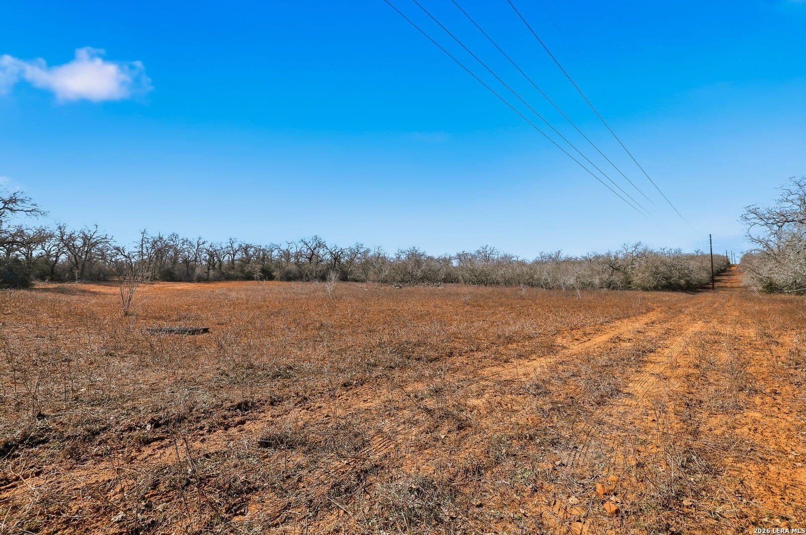 47.74 acres in Wilson County - photo 29