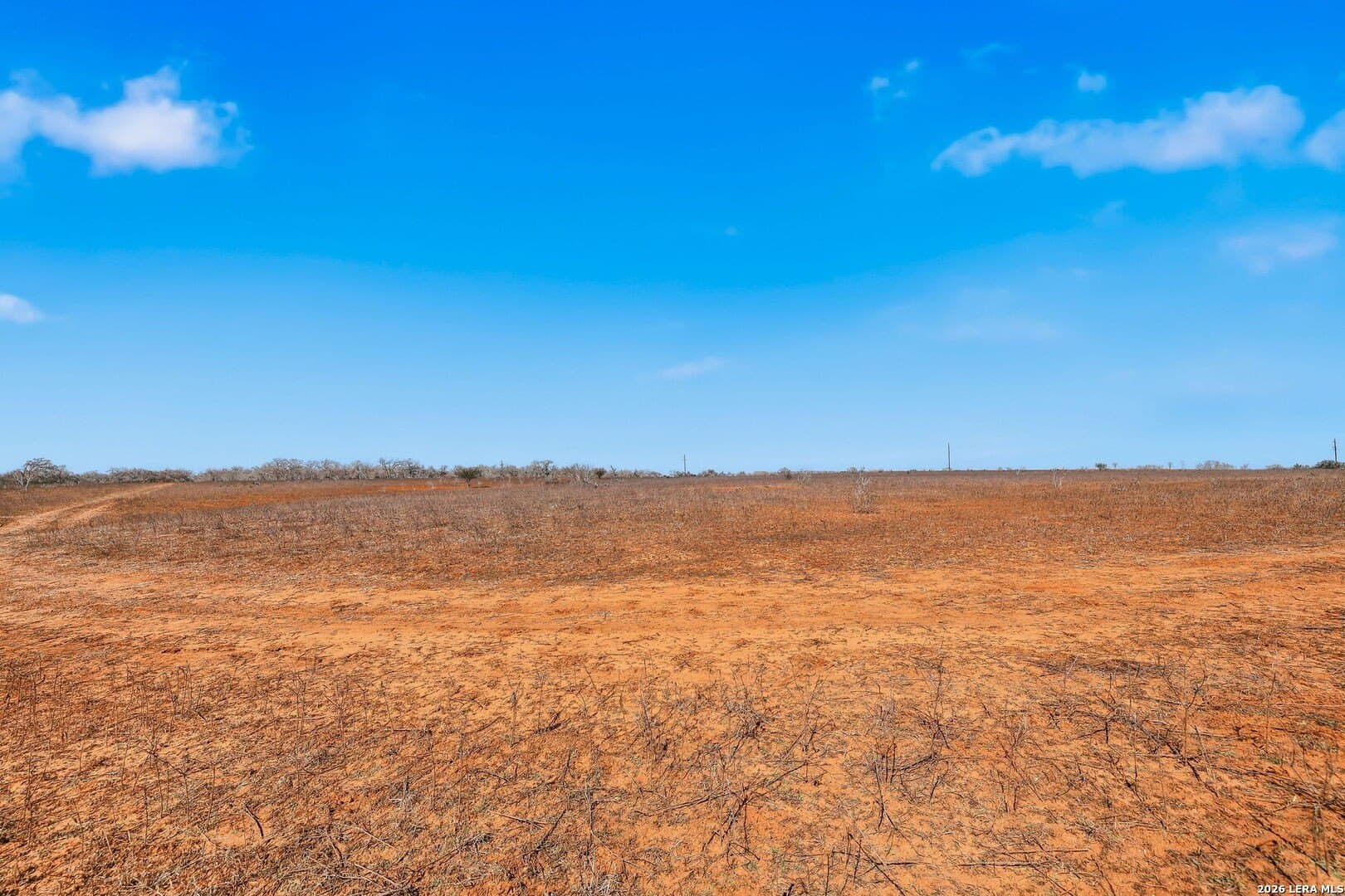 47.74 acres in Wilson County - photo 14