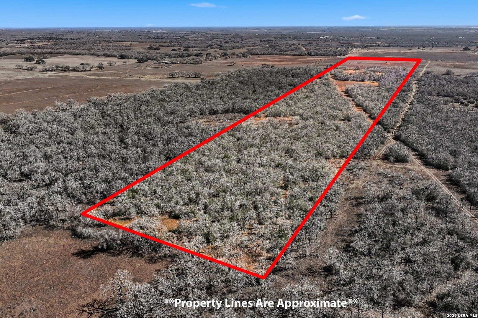 47.74 acres in Wilson County - photo 33