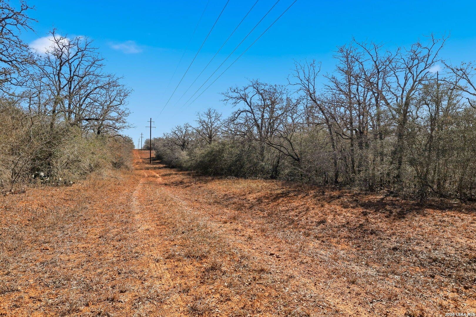 47.74 acres in Wilson County - photo 28