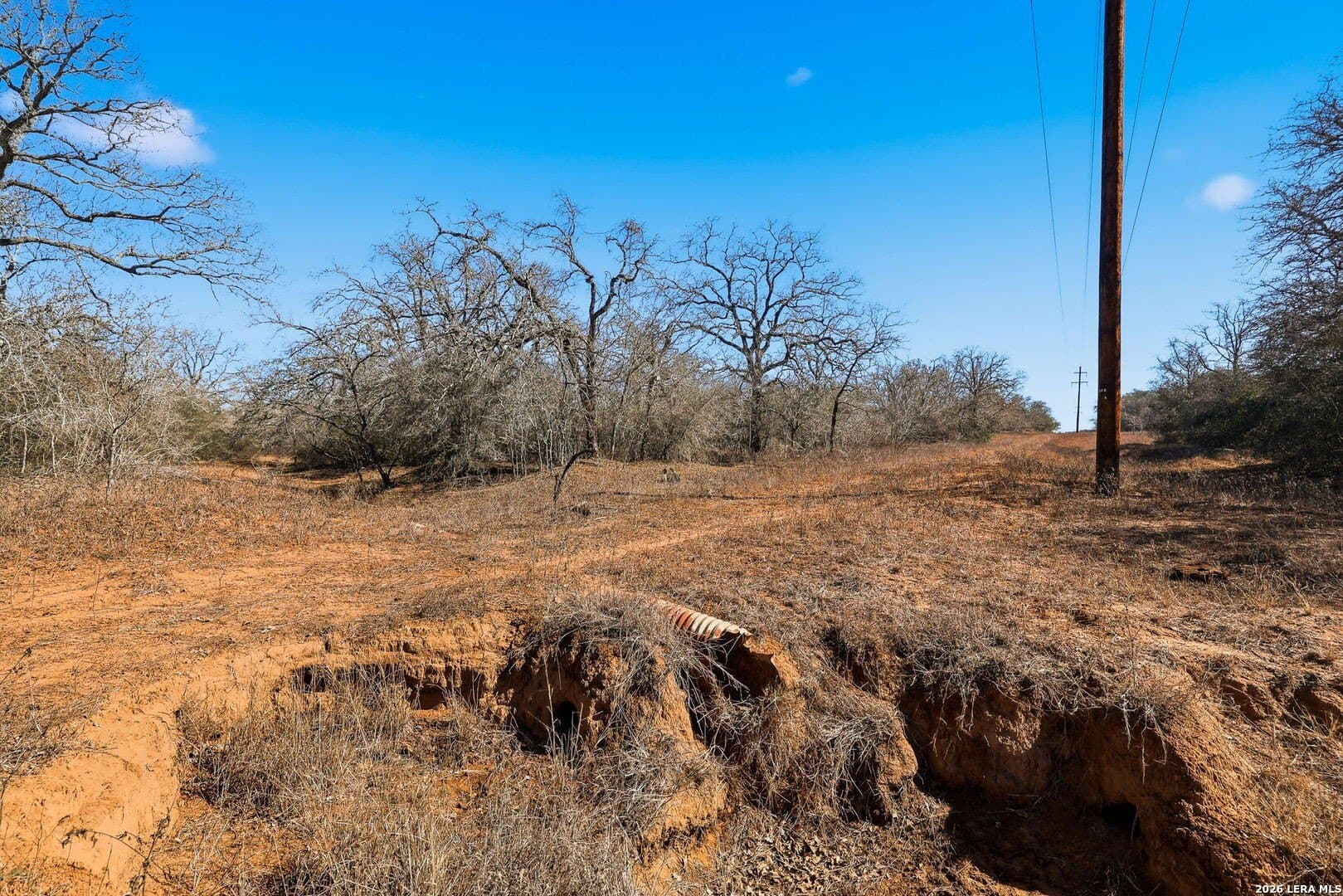 47.74 acres in Wilson County - photo 31