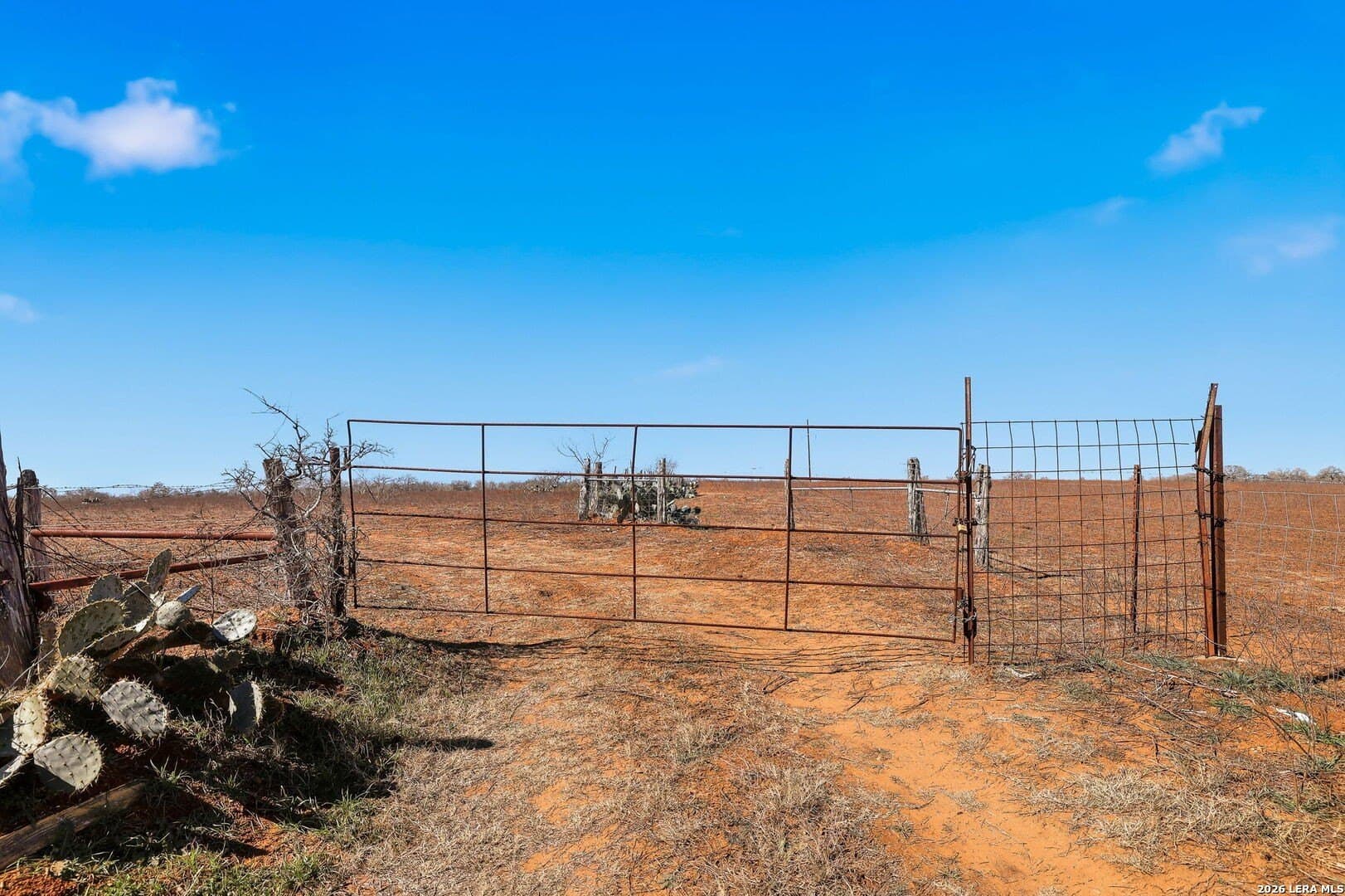 47.74 acres in Wilson County - photo 11