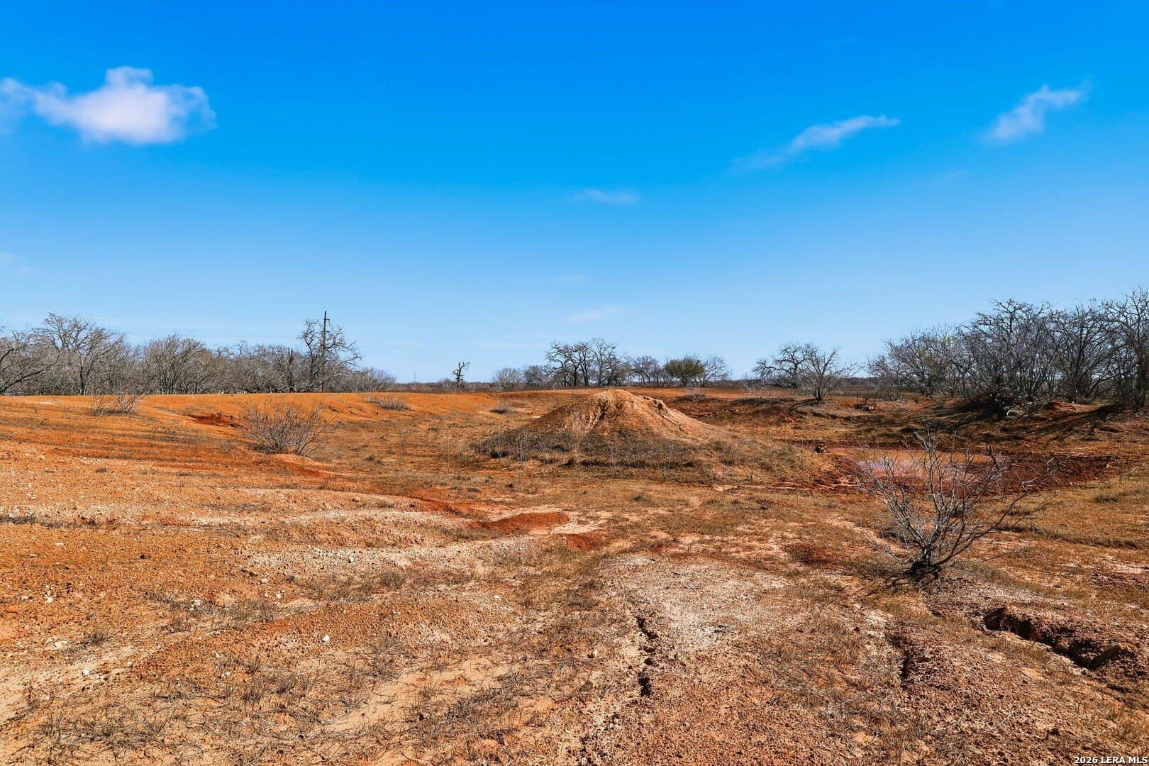 47.74 acres in Wilson County - photo 18