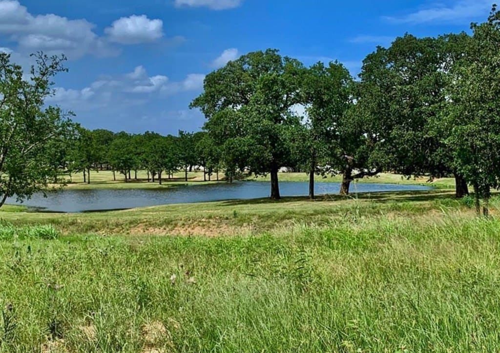 0.3 acres in Gillespie County - photo 10