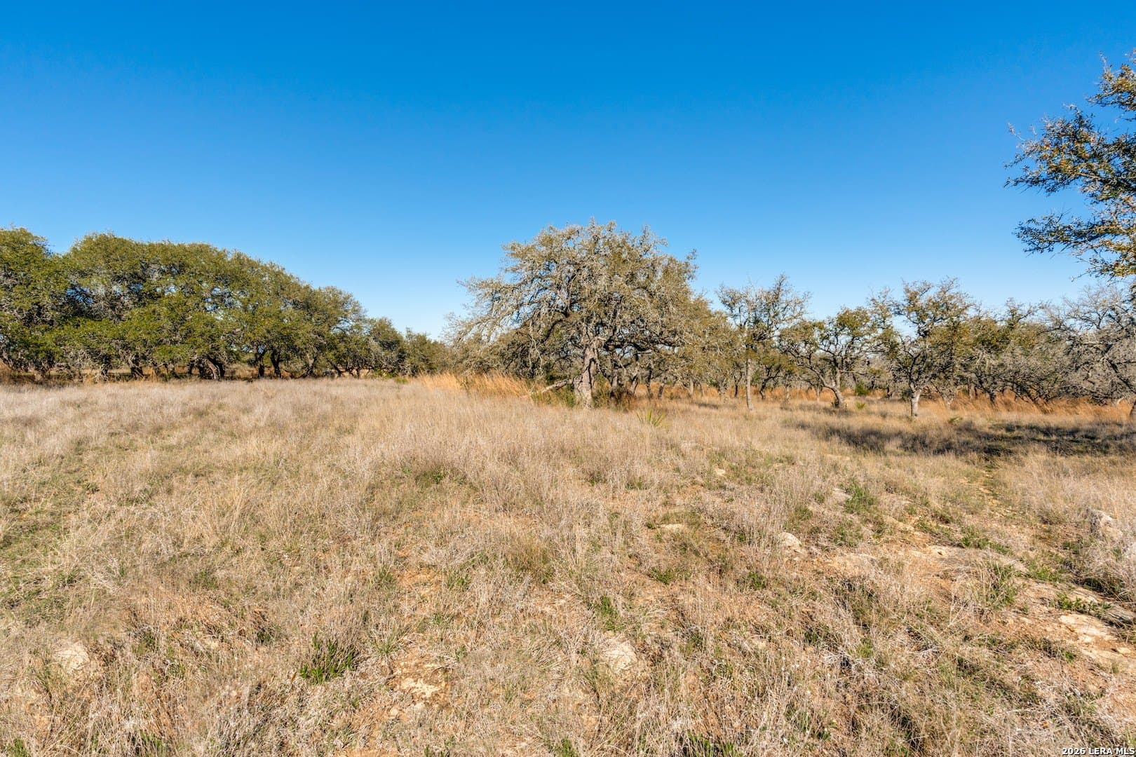 5 acres in Kendall County gallery image 3