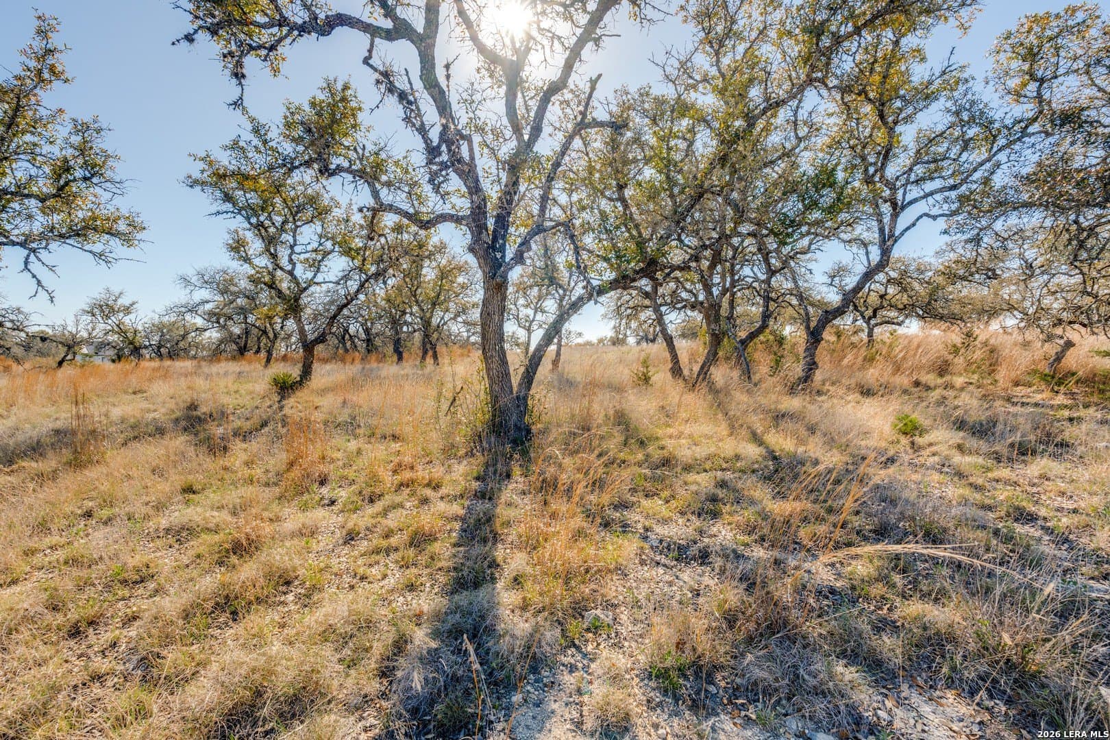 5 acres in Kendall County featured view