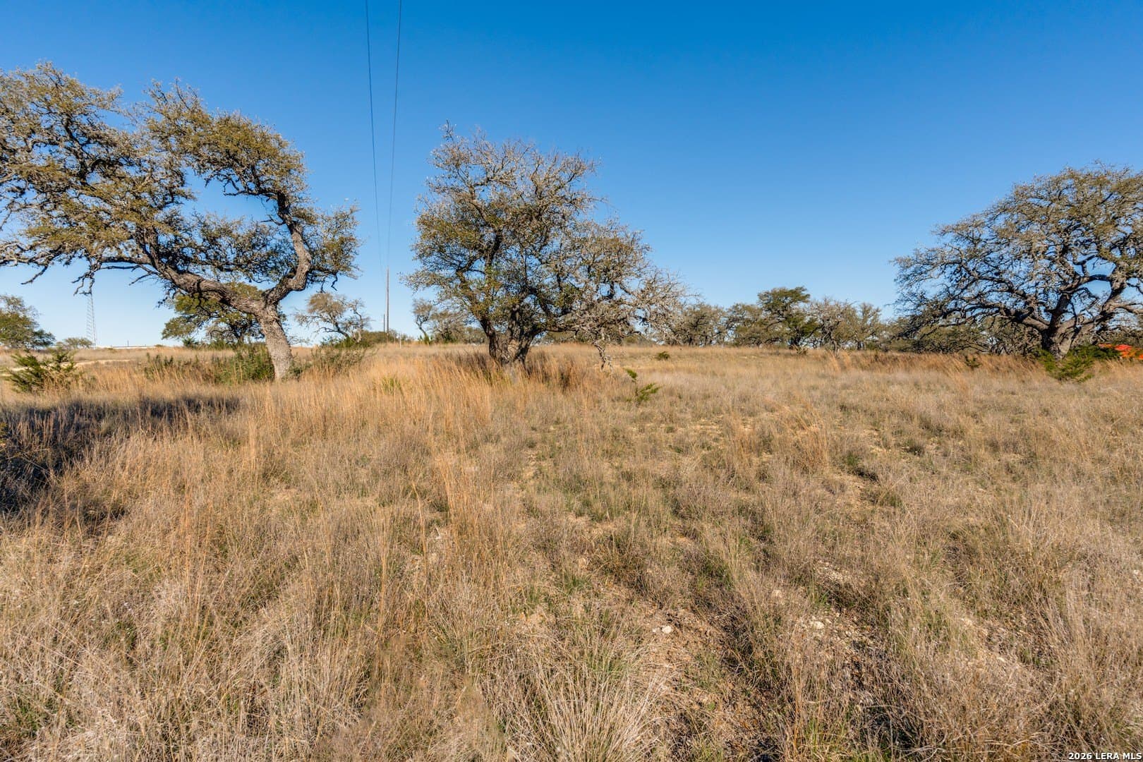 5 acres in Kendall County - photo 8