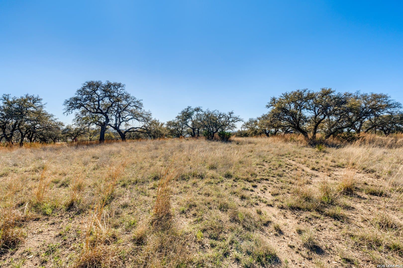 5 acres in Kendall County - photo 6