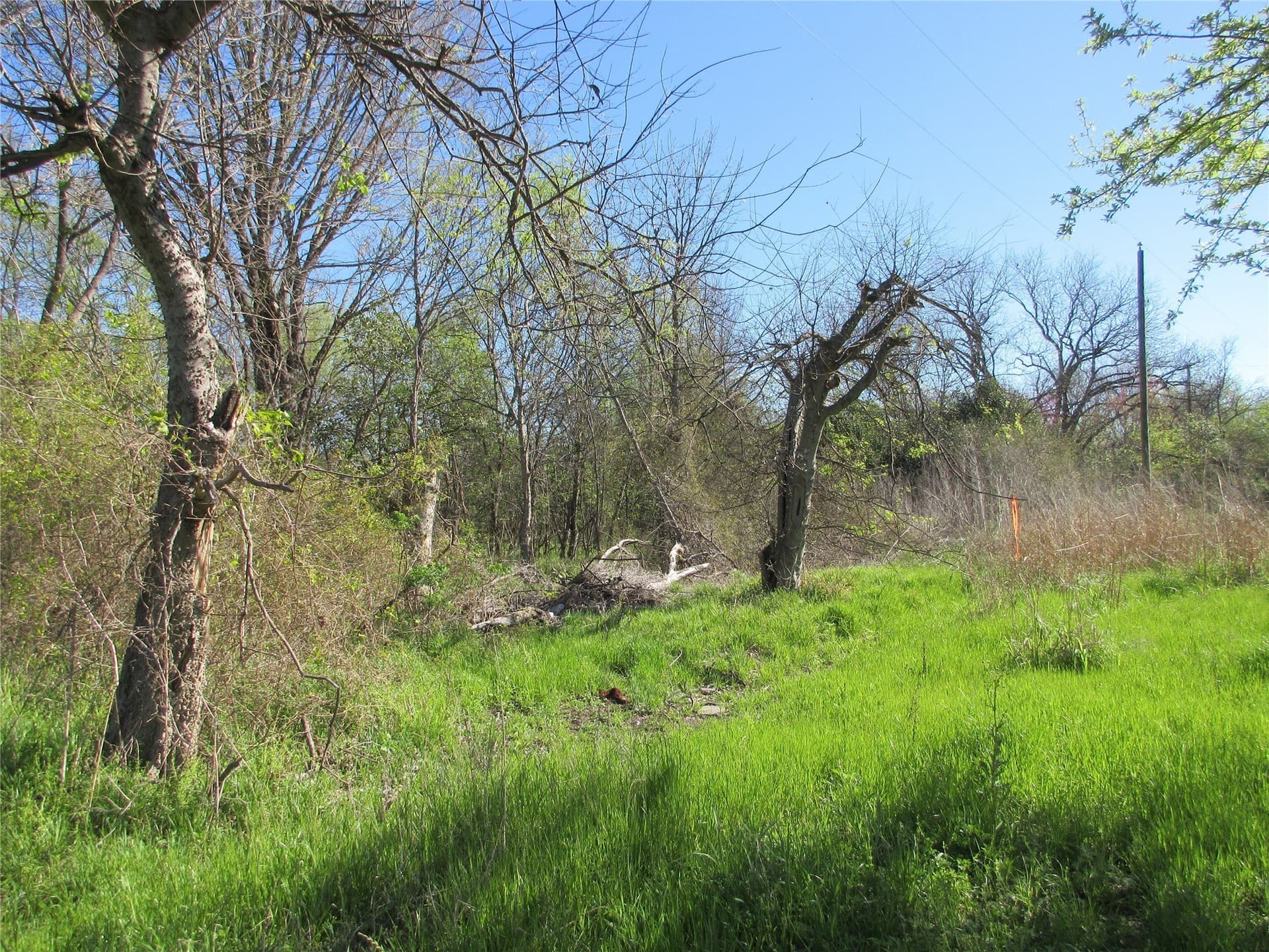 0.11 acres in Falls County gallery image 2
