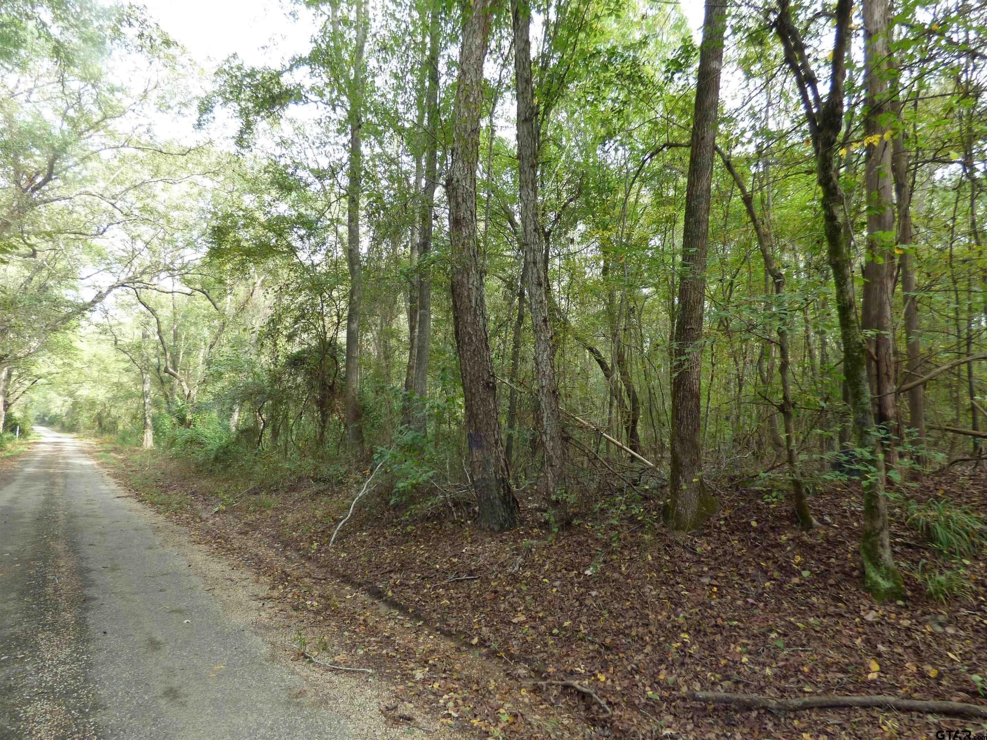 12 acres in Camp County gallery image 3