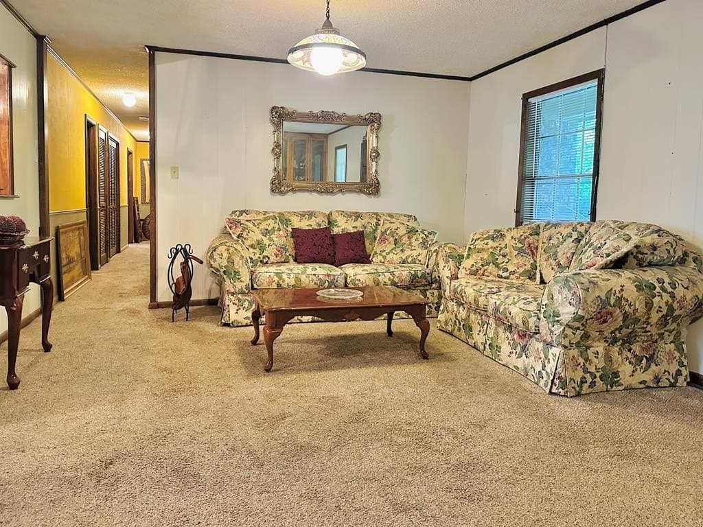 13.5 acres in Texas County - photo 9