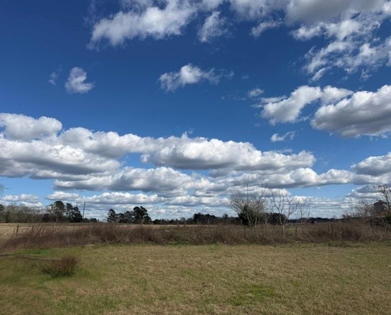 13.5 acres in Texas County - photo 19