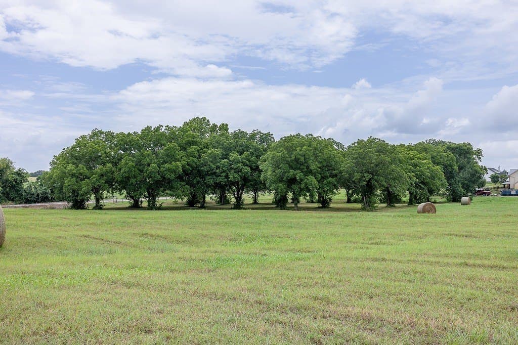 15 acres in Washington County - photo 20