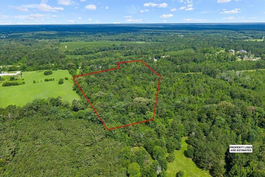 18.72 acres in Texas County gallery image 3