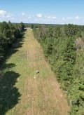 18.72 acres in Texas County gallery image 2