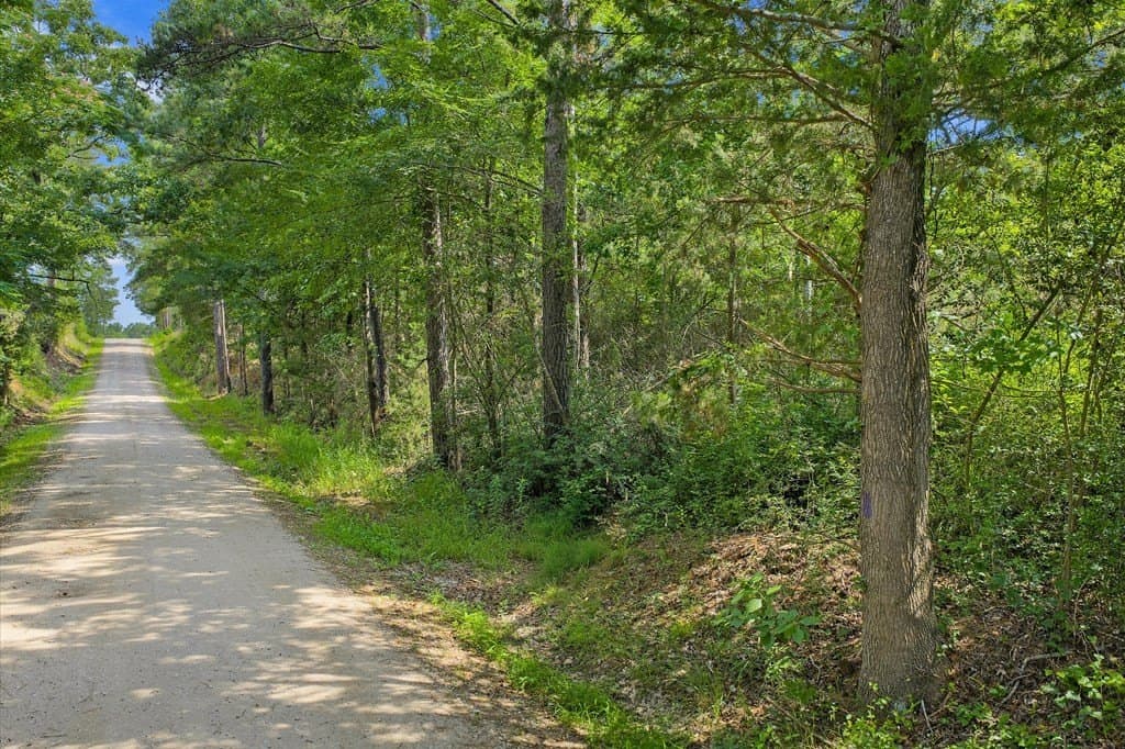 18.72 acres in Texas County gallery image 2