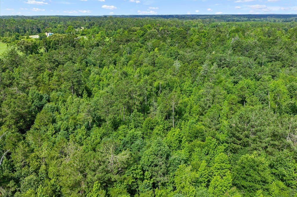 18.72 acres in Texas County featured view