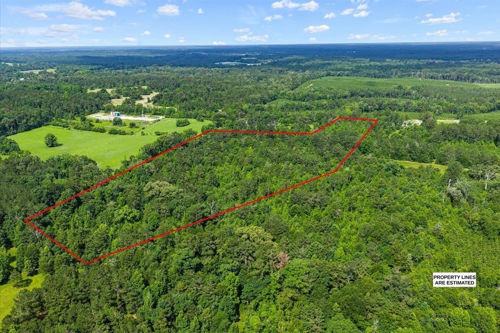 18.72 acres in Texas County gallery image 4