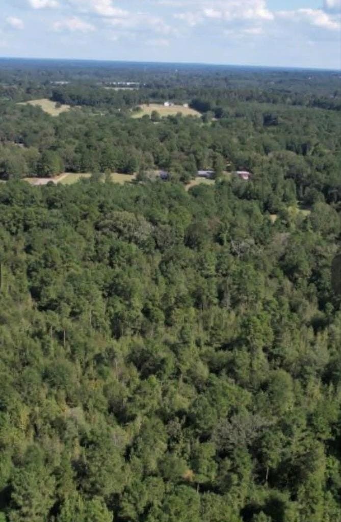 18.72 acres in Texas County gallery image 4