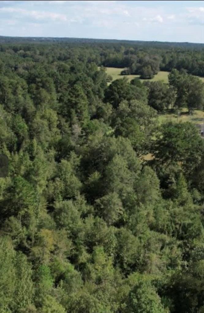18.72 acres in Texas County gallery image 3