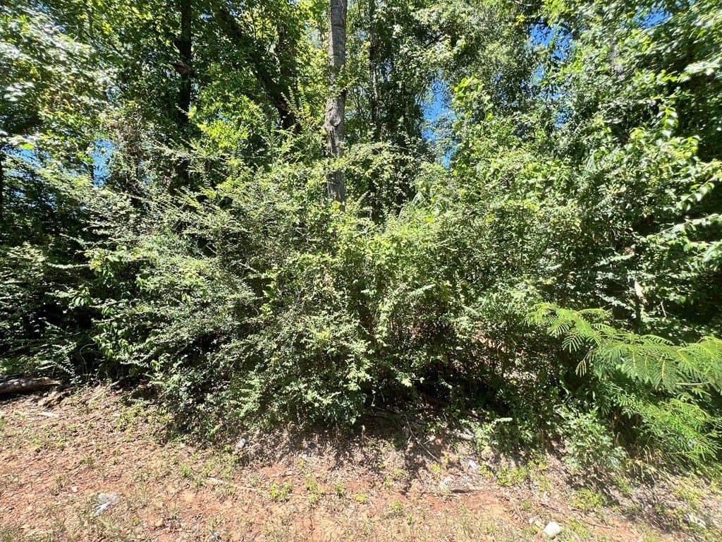 3.47 acres in Texas County gallery image 4