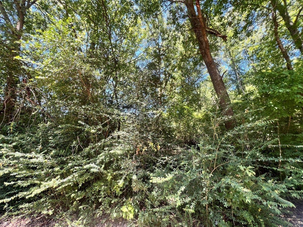 3.47 acres in Texas County featured view