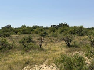 160 acres in Stephens County - photo 22