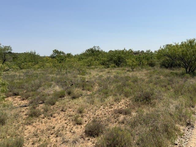160 acres in Stephens County - photo 7
