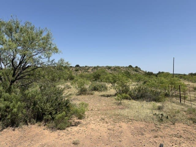 160 acres in Stephens County - photo 3