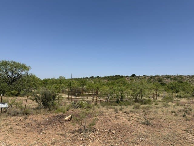 160 acres in Stephens County - photo 2