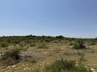 160 acres in Stephens County - photo 21