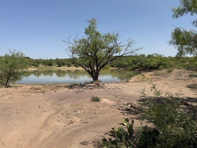 160 acres in Stephens County - photo 10