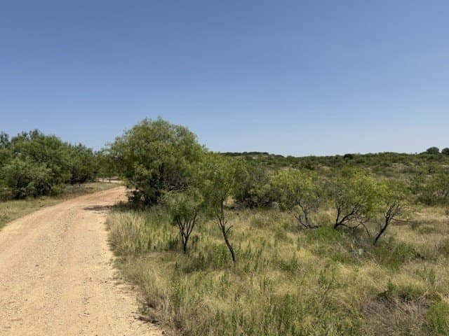 160 acres in Stephens County - photo 8